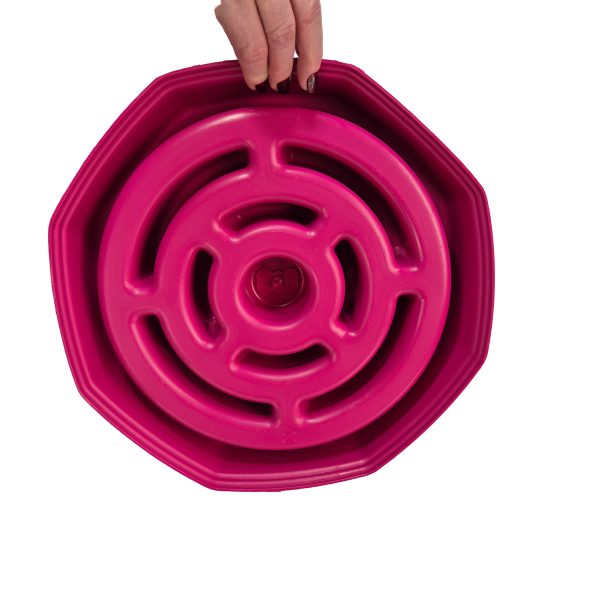 COMEDOURO EDUCATIVO PARA CACHORRO BRINQPET ROSA - Imagem 4
