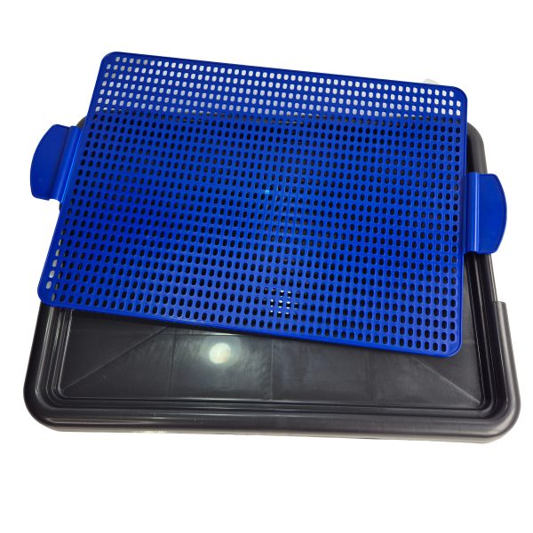 SANITARIO CANINO CÃES CACHORRO AZUL 57x43 BRINQPET - Imagem 3